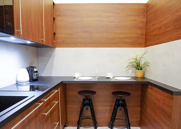 Elegant & Stylish Center Apartments! * Prag